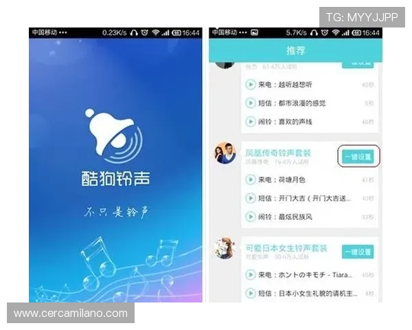 恶魔老虎机电脑下载安装后常见设置调整及优化建议